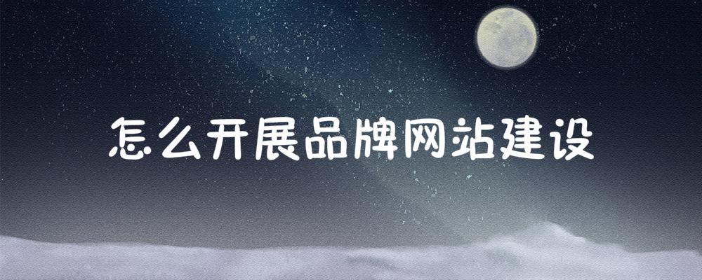 怎么開展品牌網(wǎng)站建設(shè)