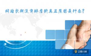 北京網(wǎng)站優(yōu)化：網(wǎng)站長期沒有排名的真正原因是什么？